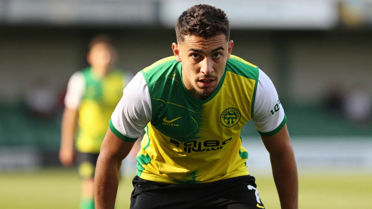 Norwich City's Ambition: Eyeing Top Eight Finish